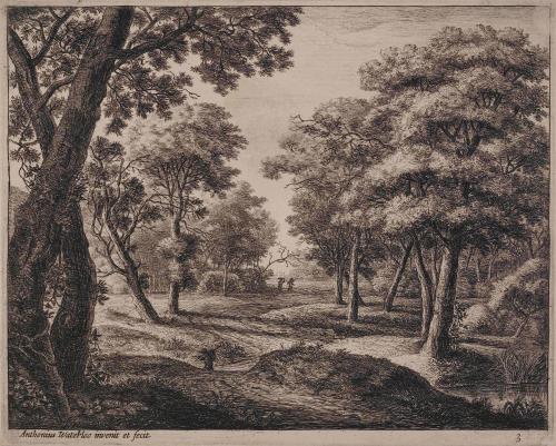 The Road Through The Woods