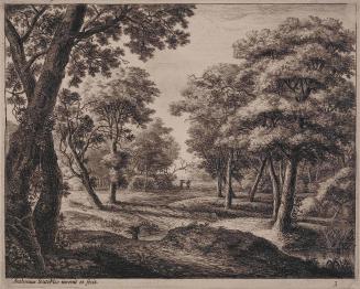 The Road Through The Woods