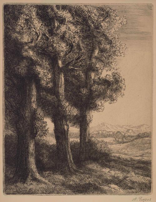 Corner of a Wood (Coin d'un bois)