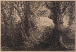 In the Forest of Conteville (Dans la fôret de Conteville)