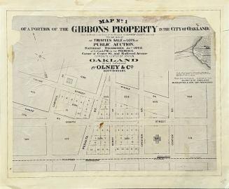 Map No 1 - Gibbons Property
