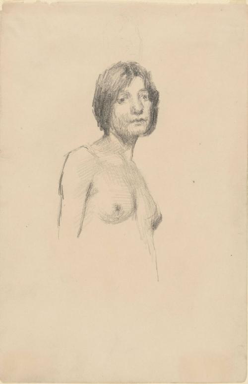 Female Figure Study