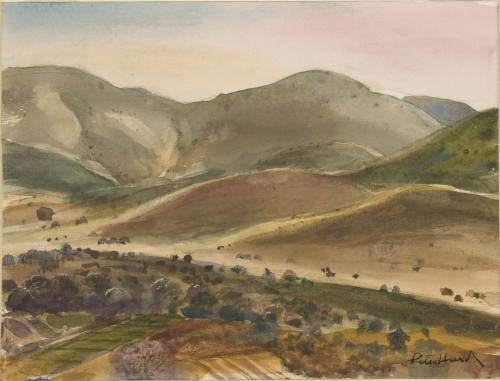 Early Evening in Summer