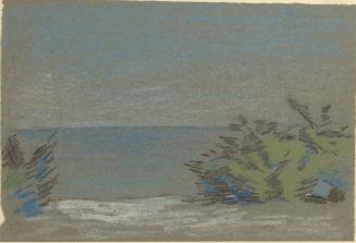Coastal Scene