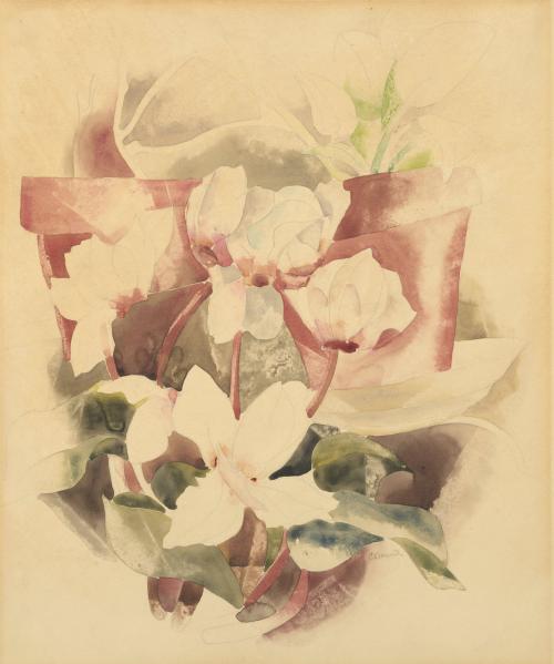 Still-life: Cyclamen and Flower Pots