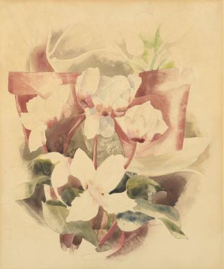 Still-life: Cyclamen and Flower Pots