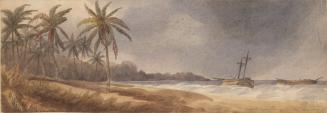 Coast near Chagress River, Panama