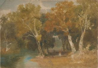 Sylvan Scene