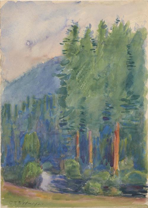 Forest Scene