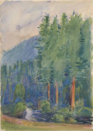 Forest Scene