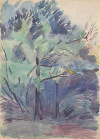 Forest Scene