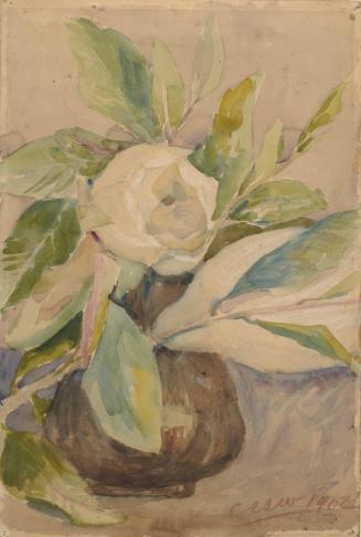 Flower Study