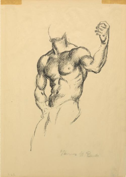 Male Figure Study