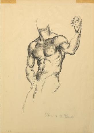 Male Figure Study