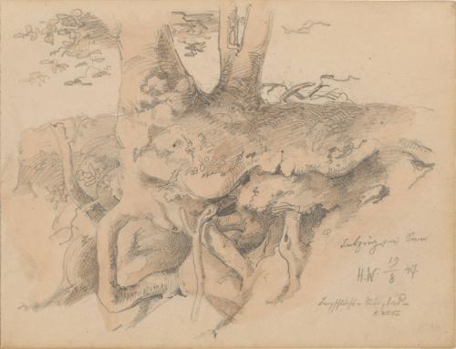 Tree and Leaf Study