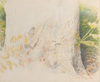 Tree and Leaf Study