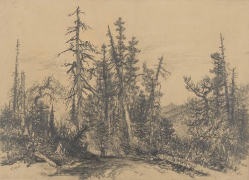Mountain Road