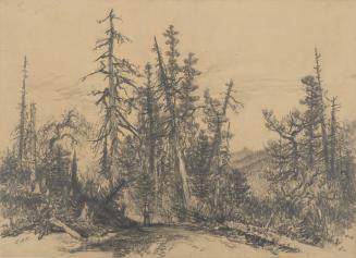 Mountain Road
