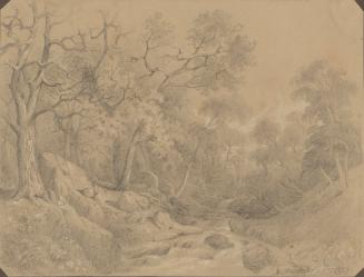 Woodland Stream
