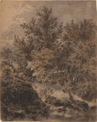 Woods and Stream