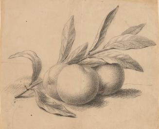 Three Apples and a Branch