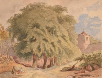 Village Scene and Pine Trees
