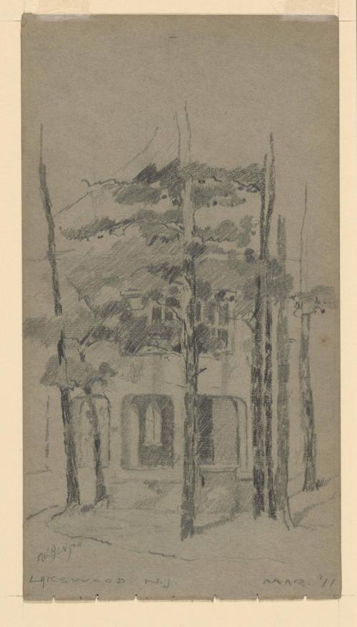 Views of a House Through Trees, Lakewood, N. J.