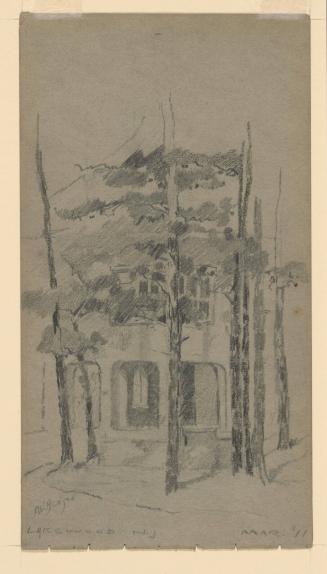 Views of a House Through Trees, Lakewood, N. J.
