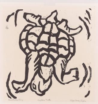 Captive turtle