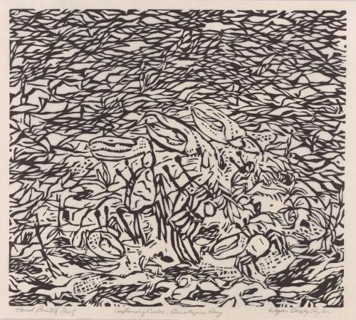 Gesturing crabs, Omotepec Bay