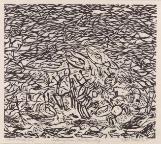Gesturing crabs, Omotepec Bay