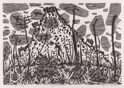 Agave forest