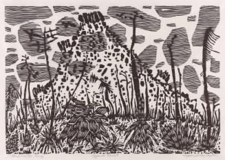 Agave forest