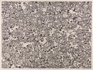 Windrow of crabs, Bahia S. Ter.