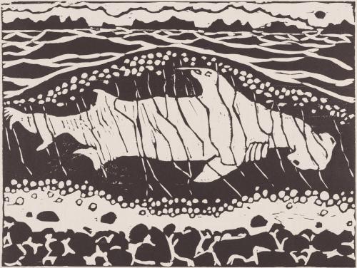 Shark in wave