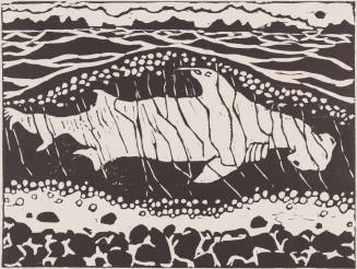 Shark in wave
