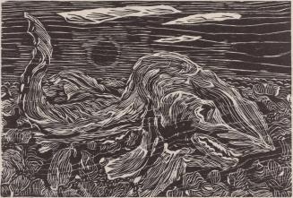 Shark on the shore