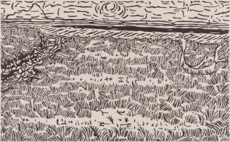 The West Channel and Montague Island