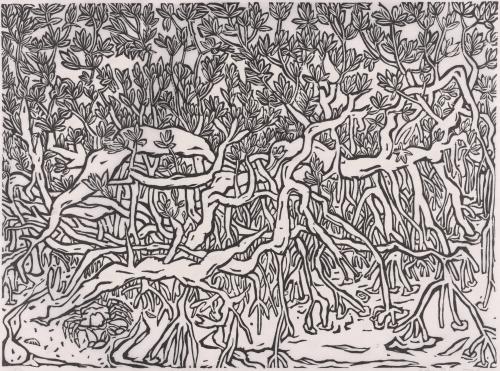 Mangrove and crab, Bahia Concepcion