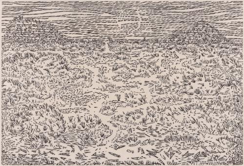 Tidal flats, Ojo de Liebre