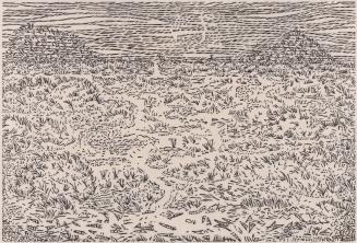 Tidal flats, Ojo de Liebre