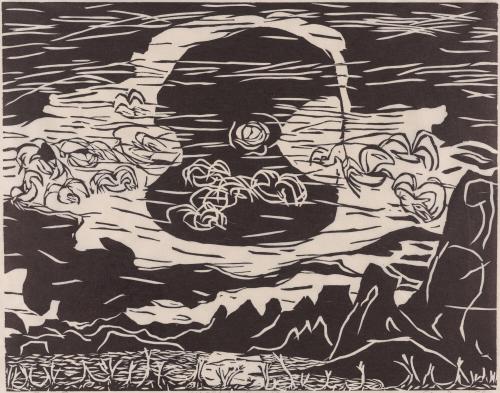 Night birds, Cerro Prieto