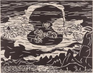 Night birds, Cerro Prieto