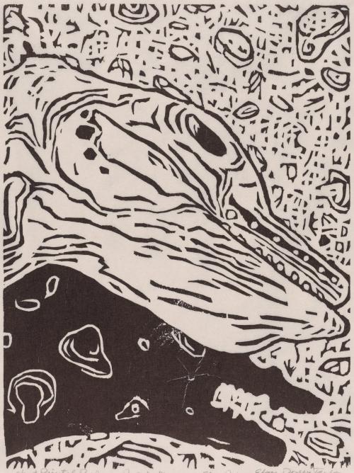 Porpoise mummy on clam reef