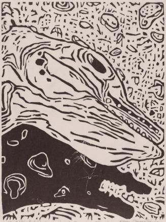 Porpoise mummy on clam reef