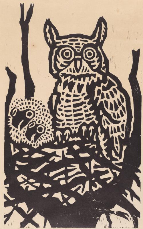 Owl nest, Magdelana Plain