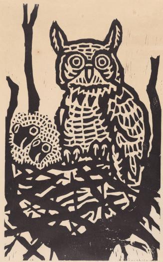 Owl nest, Magdelana Plain