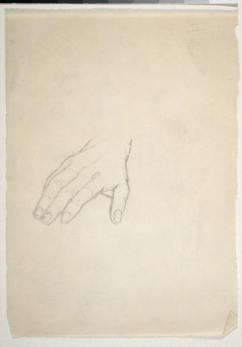 Hand Study
