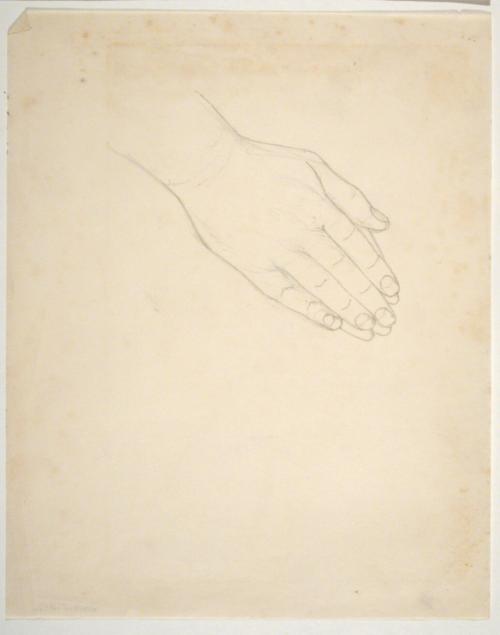Hand Study