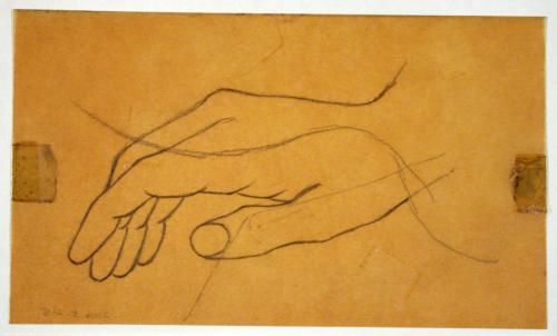 Hand Study